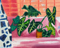 Plant Shower 8x10 Print