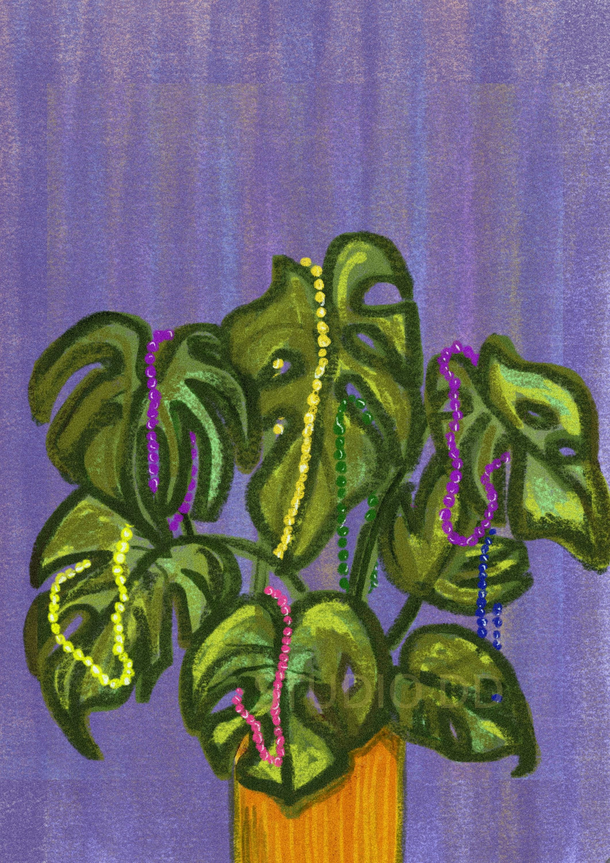 Mardi Gras Monstera