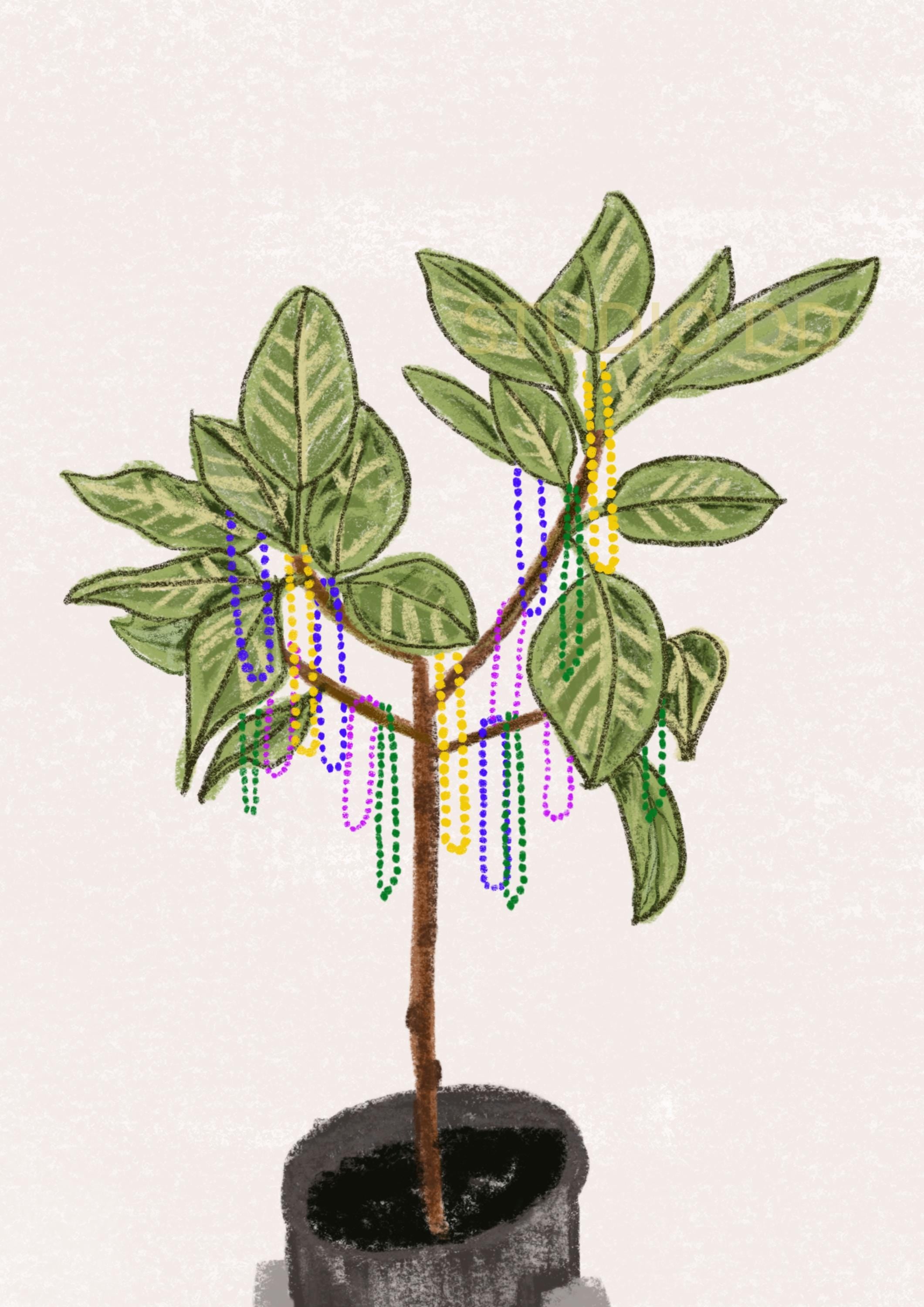 Beads on Potted Audrey Ficus Greeting Card